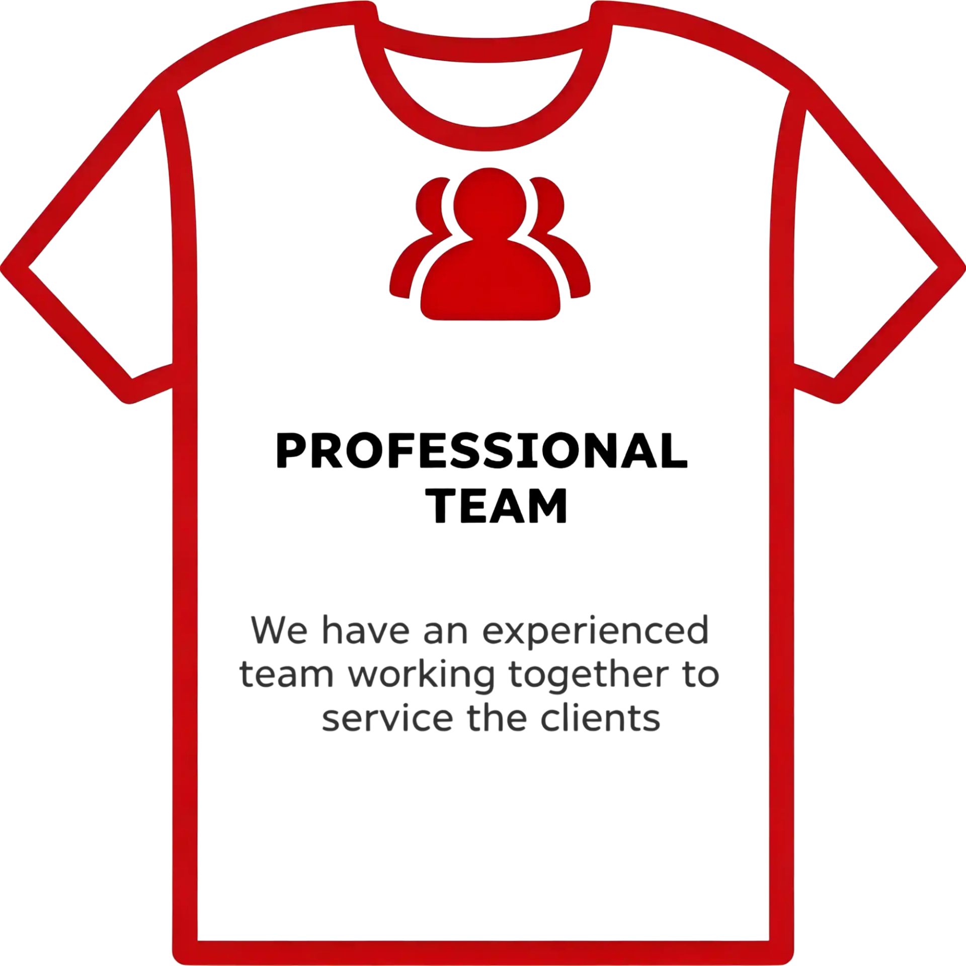 professional team